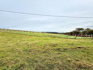 Photo 20- click for photo gallery